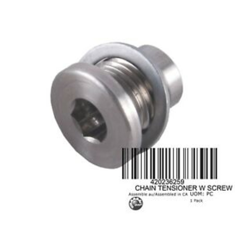 CHAIN TENSIONER W SCR