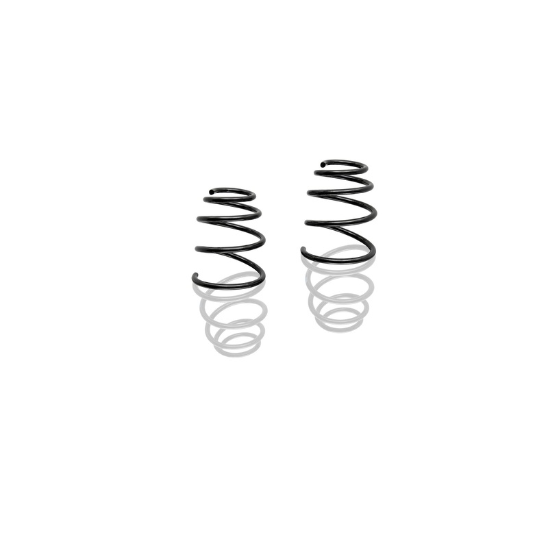 Coil spring (1 set)