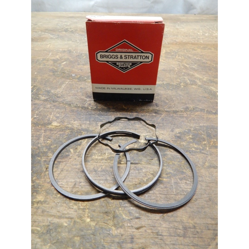 Genuine OEM Briggs & Stratton Piston Ring Set 391669